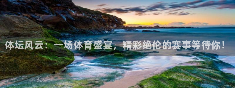 J9官网下载招商电话号码查询是多少:体坛风云:一场体育盛宴,