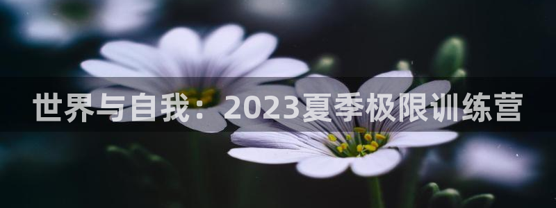 J9官方正版app娱乐40996:世界与自我:2023夏季极